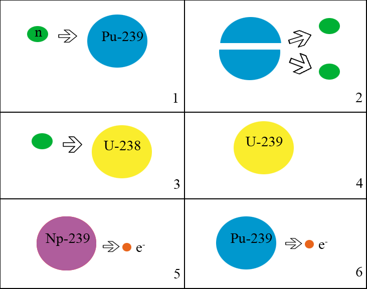 Sub Section: Nature - Uranium Breeding