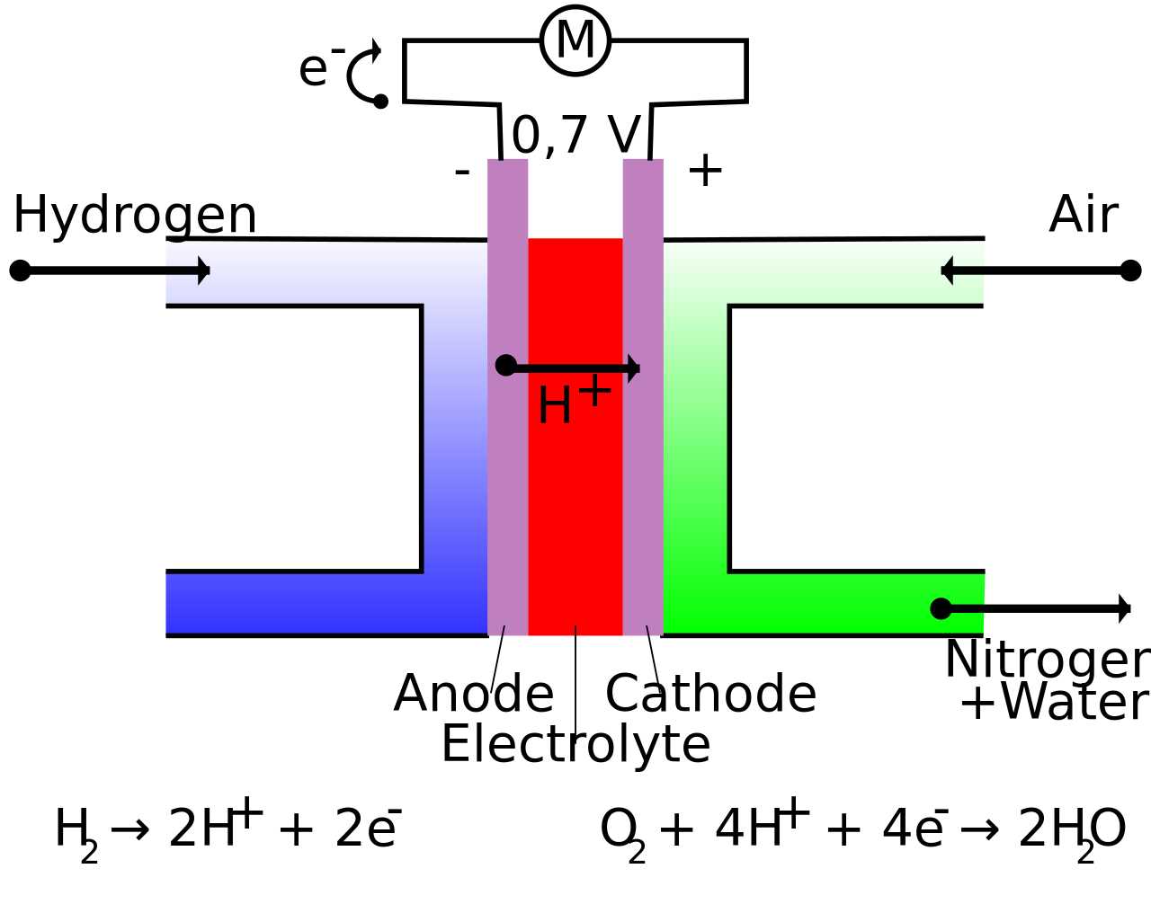 Hydrogen Fuel Cells