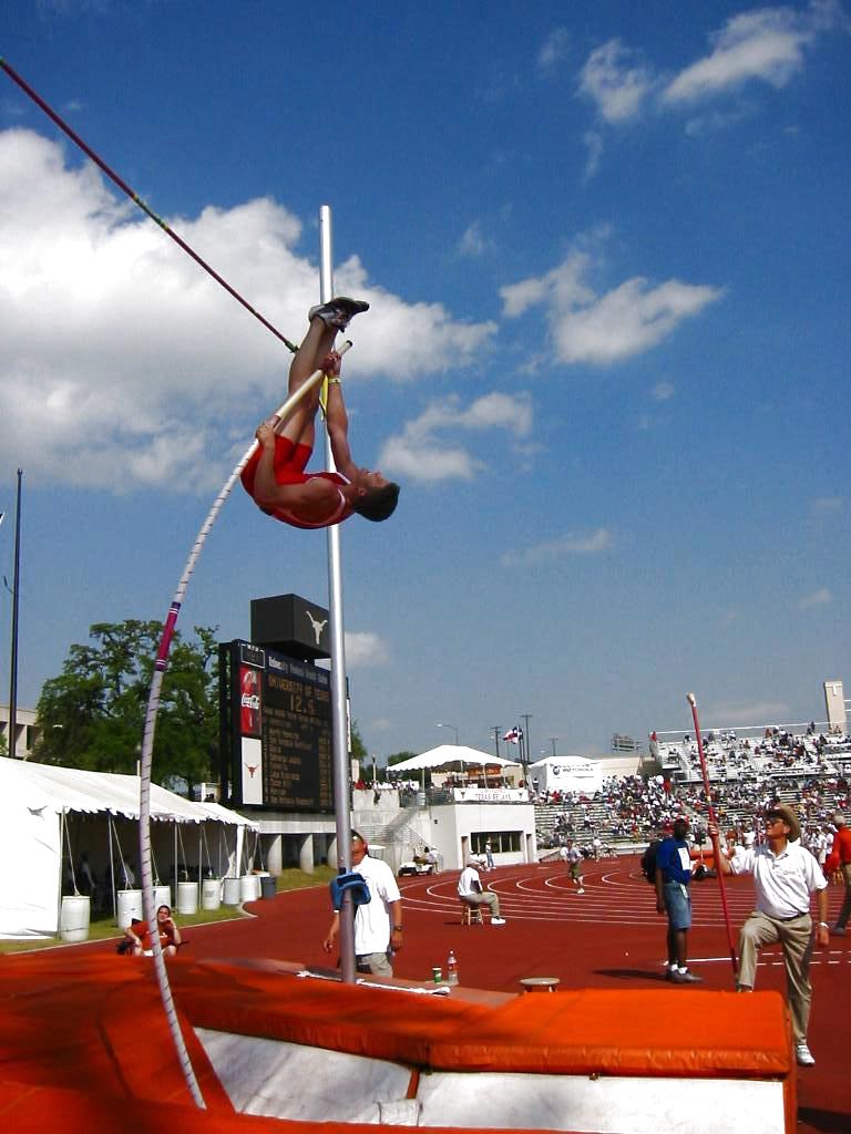 A Simplified Mechanical Model of the Pole Vault