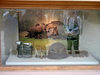 A bad picture showing the clothing of the soldiers.